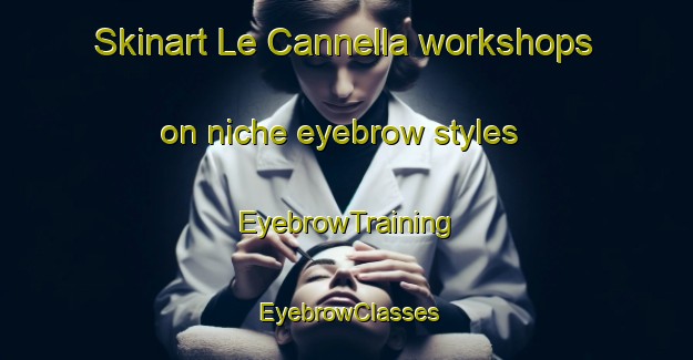 Skinart Le Cannella workshops on niche eyebrow styles | EyebrowTraining | EyebrowClasses | SkinartTraining-Italy
