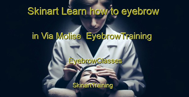 Skinart Learn how to eyebrow in Via Molise | EyebrowTraining | EyebrowClasses | SkinartTraining-Italy