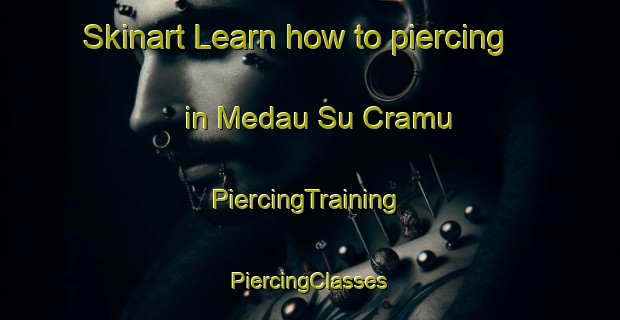 Skinart Learn how to piercing in Medau Su Cramu | #PiercingTraining #PiercingClasses #SkinartTraining-Italy