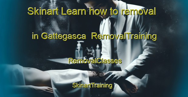 Skinart Learn how to removal in Gattegasca | RemovalTraining | RemovalClasses | SkinartTraining-Italy