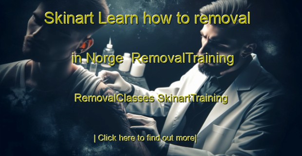 Skinart Learn how to removal in Norge | #RemovalTraining #RemovalClasses #SkinartTraining-Italy