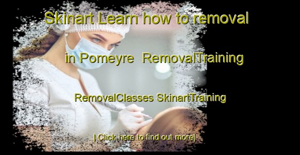 Skinart Learn how to removal in Pomeyre | #RemovalTraining #RemovalClasses #SkinartTraining-Italy