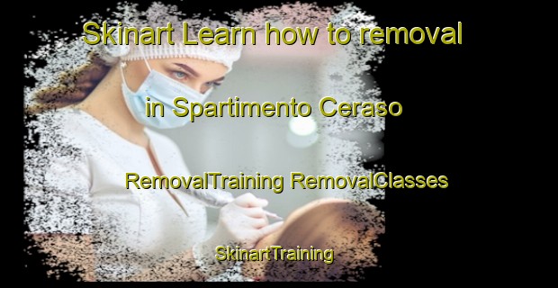 Skinart Learn how to removal in Spartimento Ceraso | #RemovalTraining #RemovalClasses #SkinartTraining-Italy