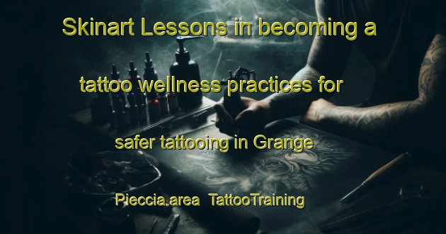Skinart Lessons in becoming a tattoo wellness practices for safer tattooing in Grange Pieccia area | TattooTraining | TattooClasses | SkinartTraining-Italy