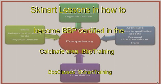 Skinart Lessons in how to become BBP certified in the Calcinate area | BbpTraining | BbpClasses | SkinartTraining-Italy