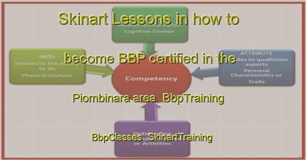 Skinart Lessons in how to become BBP certified in the Piombinara area | BbpTraining | BbpClasses | SkinartTraining-Italy