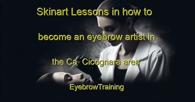 Skinart Lessons in how to become an eyebrow artist in the Ca  Cicognara area | EyebrowTraining | EyebrowClasses | SkinartTraining-Italy