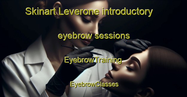 Skinart Leverone introductory eyebrow sessions | EyebrowTraining | EyebrowClasses | SkinartTraining-Italy
