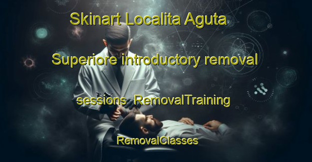 Skinart Localita Aguta Superiore introductory removal sessions | RemovalTraining | RemovalClasses | SkinartTraining-Italy