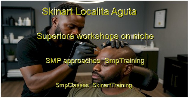 Skinart Localita Aguta Superiore workshops on niche SMP approaches | SmpTraining | SmpClasses | SkinartTraining-Italy