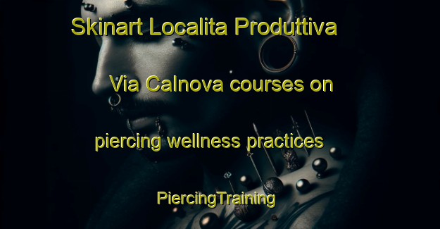 Skinart Localita Produttiva Via Calnova courses on piercing wellness practices | #PiercingTraining #PiercingClasses #SkinartTraining-Italy