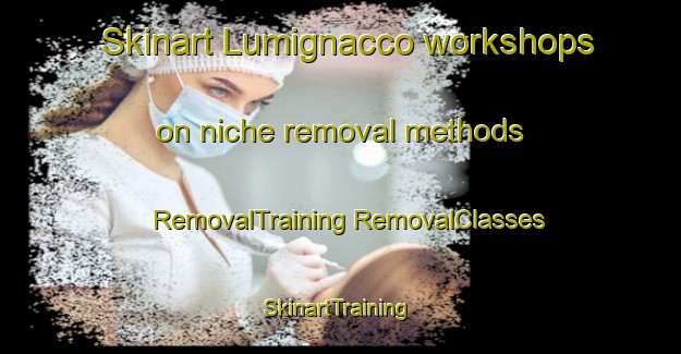 Skinart Lumignacco workshops on niche removal methods | #RemovalTraining #RemovalClasses #SkinartTraining-Italy