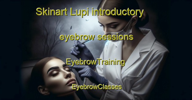 Skinart Lupi introductory eyebrow sessions | EyebrowTraining | EyebrowClasses | SkinartTraining-Italy