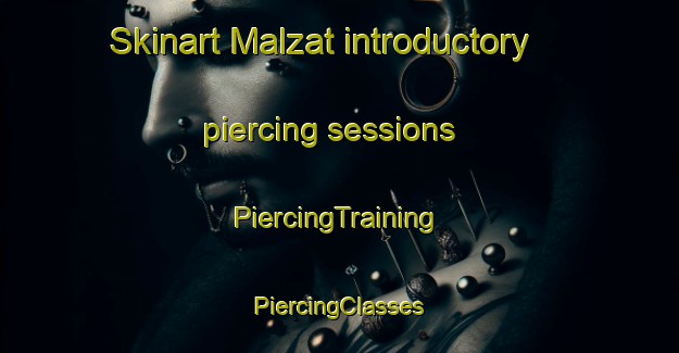 Skinart Malzat introductory piercing sessions | #PiercingTraining #PiercingClasses #SkinartTraining-Italy