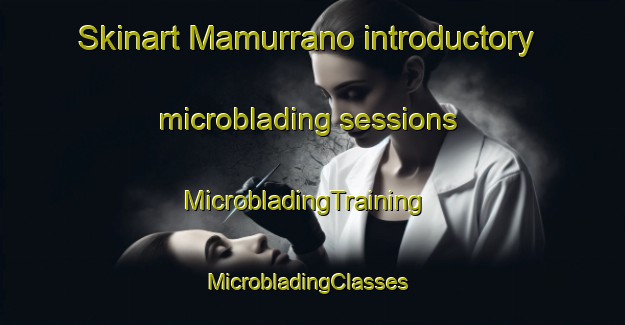 Skinart Mamurrano introductory microblading sessions | MicrobladingTraining | MicrobladingClasses | SkinartTraining-Italy