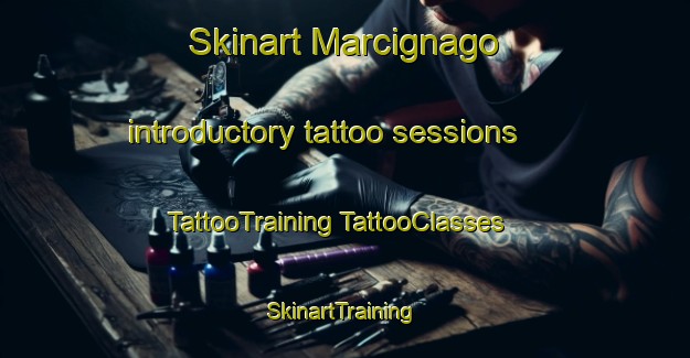 Skinart Marcignago introductory tattoo sessions | #TattooTraining #TattooClasses #SkinartTraining-Italy