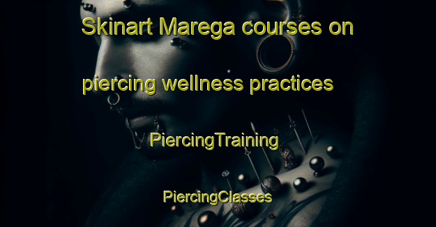 Skinart Marega courses on piercing wellness practices | #PiercingTraining #PiercingClasses #SkinartTraining-Italy