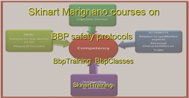 Skinart Marignano courses on BBP safety protocols | BbpTraining | BbpClasses | SkinartTraining-Italy