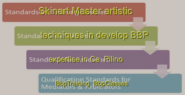 Skinart Master artistic techniques in develop BBP expertise in Ca  Pilino | BbpTraining | BbpClasses | SkinartTraining-Italy