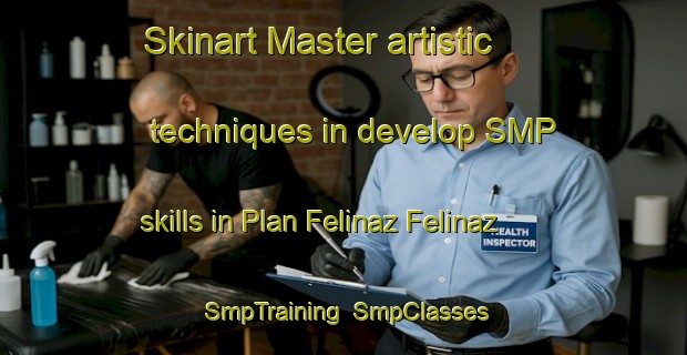 Skinart Master artistic techniques in develop SMP skills in Plan Felinaz Felinaz | SmpTraining | SmpClasses | SkinartTraining-Italy