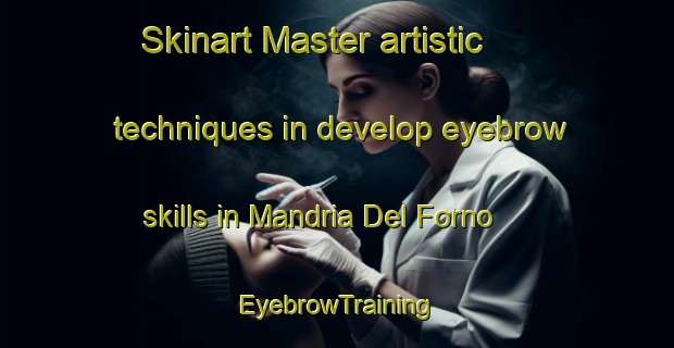 Skinart Master artistic techniques in develop eyebrow skills in Mandria Del Forno | EyebrowTraining | EyebrowClasses | SkinartTraining-Italy