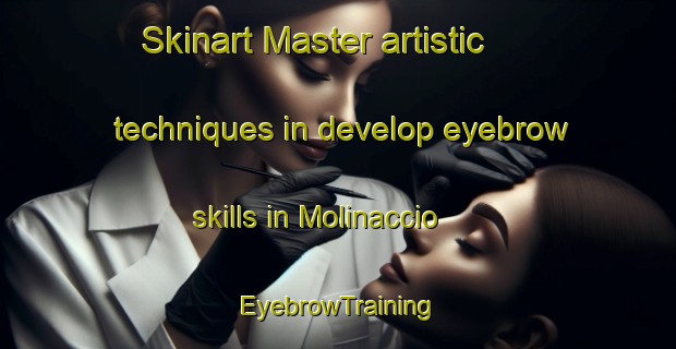 Skinart Master artistic techniques in develop eyebrow skills in Molinaccio | EyebrowTraining | EyebrowClasses | SkinartTraining-Italy