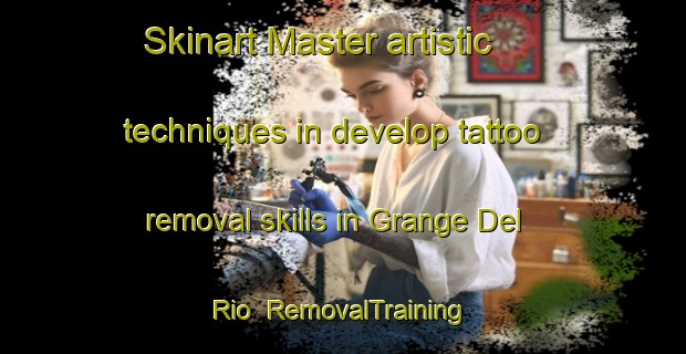 Skinart Master artistic techniques in develop tattoo removal skills in Grange Del Rio | RemovalTraining | RemovalClasses | SkinartTraining-Italy