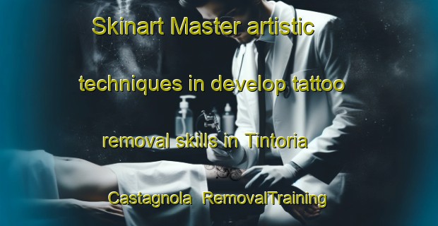 Skinart Master artistic techniques in develop tattoo removal skills in Tintoria Castagnola | RemovalTraining | RemovalClasses | SkinartTraining-Italy