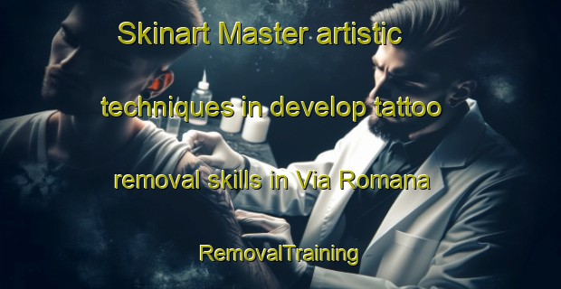 Skinart Master artistic techniques in develop tattoo removal skills in Via Romana | RemovalTraining | RemovalClasses | SkinartTraining-Italy