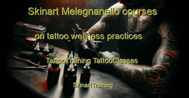 Skinart Melegnanello courses on tattoo wellness practices | #TattooTraining #TattooClasses #SkinartTraining-Italy