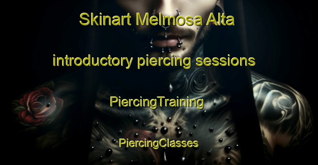 Skinart Melmosa Alta introductory piercing sessions | #PiercingTraining #PiercingClasses #SkinartTraining-Italy