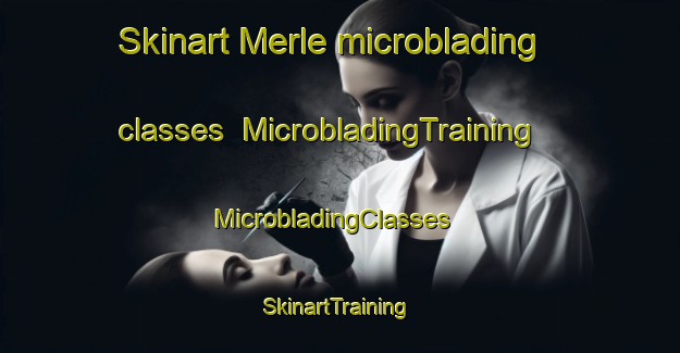 Skinart Merle microblading classes | MicrobladingTraining | MicrobladingClasses | SkinartTraining-Italy