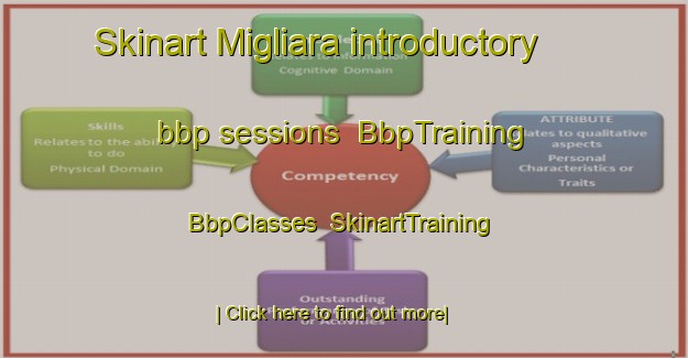 Skinart Migliara introductory bbp sessions | BbpTraining | BbpClasses | SkinartTraining-Italy
