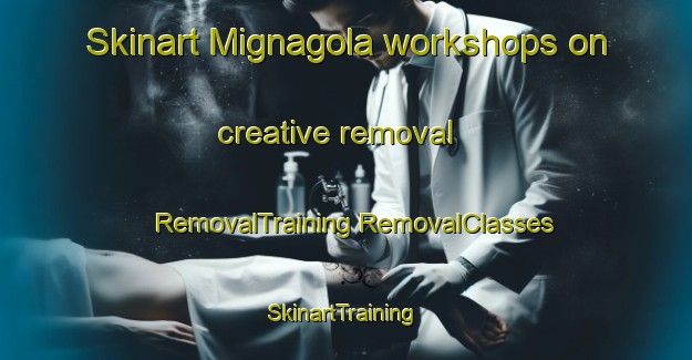 Skinart Mignagola workshops on creative removal | #RemovalTraining #RemovalClasses #SkinartTraining-Italy