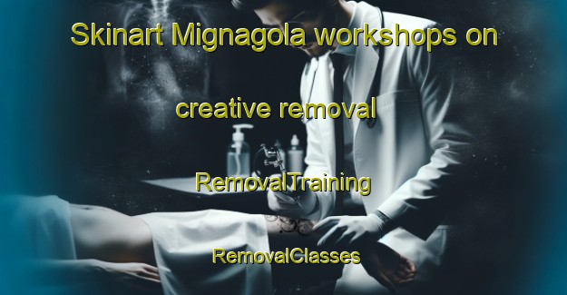 Skinart Mignagola workshops on creative removal | RemovalTraining | RemovalClasses | SkinartTraining-Italy