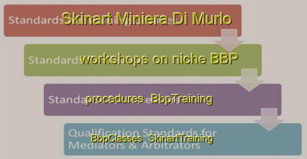Skinart Miniera Di Murlo workshops on niche BBP procedures | BbpTraining | BbpClasses | SkinartTraining-Italy