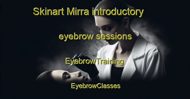 Skinart Mirra introductory eyebrow sessions | EyebrowTraining | EyebrowClasses | SkinartTraining-Italy