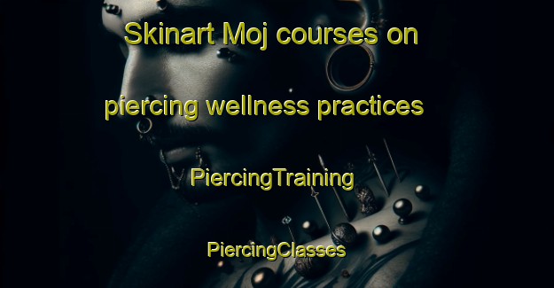 Skinart Moj courses on piercing wellness practices | #PiercingTraining #PiercingClasses #SkinartTraining-Italy