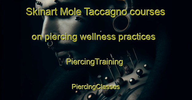 Skinart Mole Taccagno courses on piercing wellness practices | #PiercingTraining #PiercingClasses #SkinartTraining-Italy