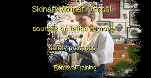 Skinart Molineri Vecchi courses on tattoo removal safety practices | RemovalTraining | RemovalClasses | SkinartTraining-Italy