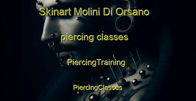 Skinart Molini Di Orsano piercing classes | #PiercingTraining #PiercingClasses #SkinartTraining-Italy