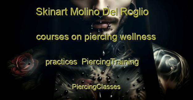 Skinart Molino Del Roglio courses on piercing wellness practices | #PiercingTraining #PiercingClasses #SkinartTraining-Italy