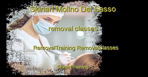 Skinart Molino Del Sasso removal classes | #RemovalTraining #RemovalClasses #SkinartTraining-Italy