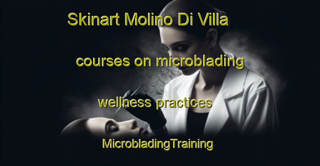 Skinart Molino Di Villa courses on microblading wellness practices | #MicrobladingTraining #MicrobladingClasses #SkinartTraining-Italy