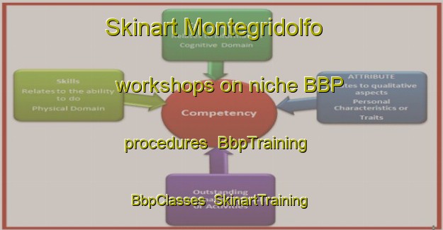 Skinart Montegridolfo workshops on niche BBP procedures | BbpTraining | BbpClasses | SkinartTraining-Italy