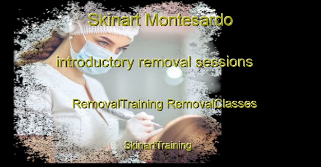 Skinart Montesardo introductory removal sessions | #RemovalTraining #RemovalClasses #SkinartTraining-Italy