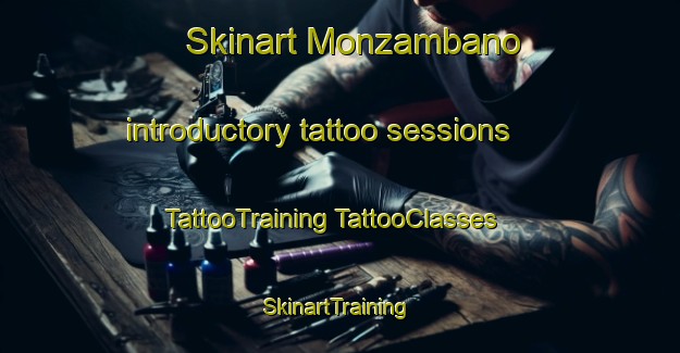 Skinart Monzambano introductory tattoo sessions | #TattooTraining #TattooClasses #SkinartTraining-Italy