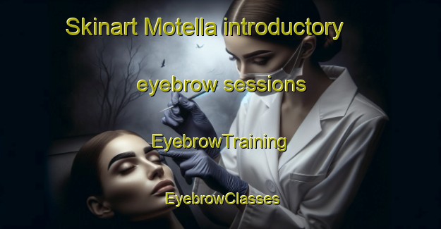 Skinart Motella introductory eyebrow sessions | EyebrowTraining | EyebrowClasses | SkinartTraining-Italy