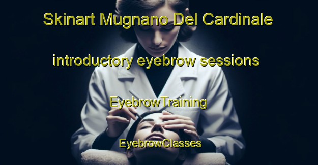 Skinart Mugnano Del Cardinale introductory eyebrow sessions | EyebrowTraining | EyebrowClasses | SkinartTraining-Italy