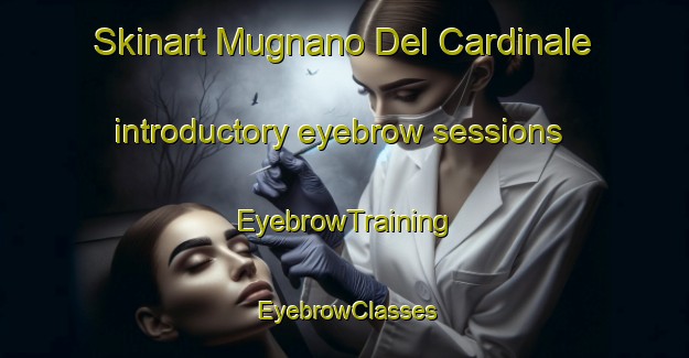Skinart Mugnano Del Cardinale introductory eyebrow sessions | EyebrowTraining | EyebrowClasses | SkinartTraining-Italy